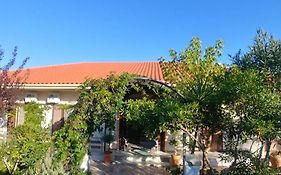 Villa Dream Garden